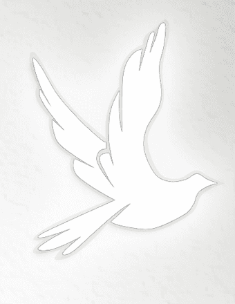 Marlene Craig Obituary